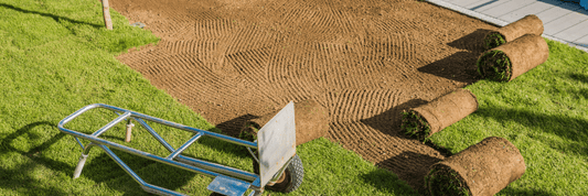The Smart Way to Get a Green Lawn Fast: Sod Installation in Milwaukee