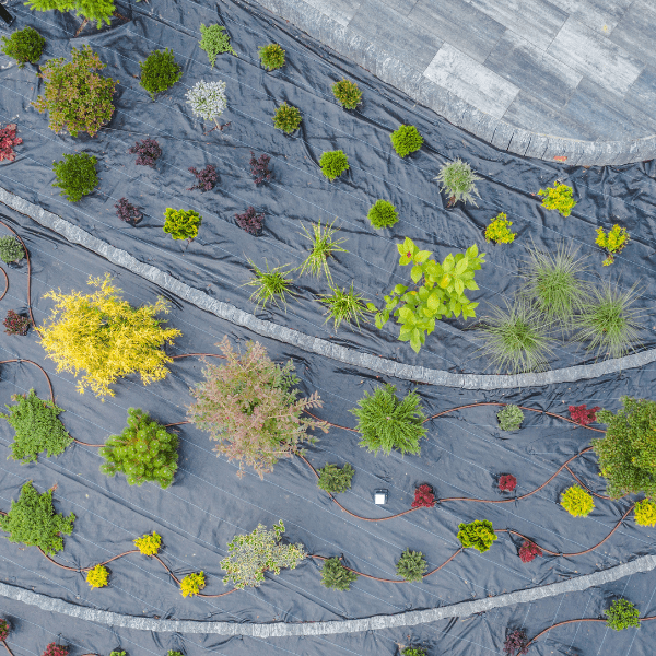 Landscape Design Milwaukee