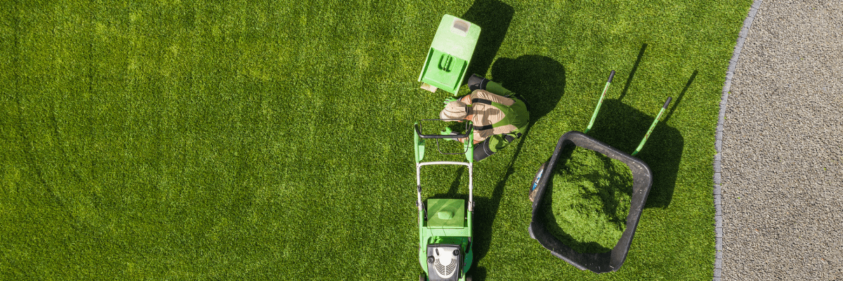 Premier Landscaping Services
