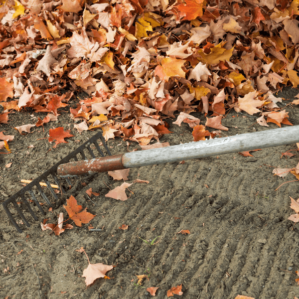 Seasonal Yard Cleanup Milwaukee