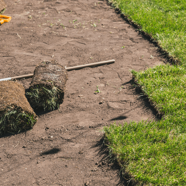 Sod Install Milwaukee