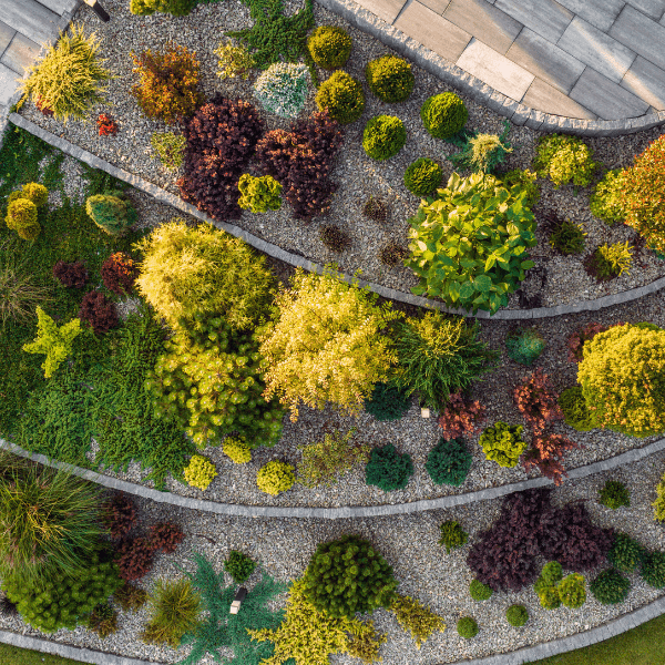 🌿 5 Essential Summer Landscaping Tips for Milwaukee Homeowners