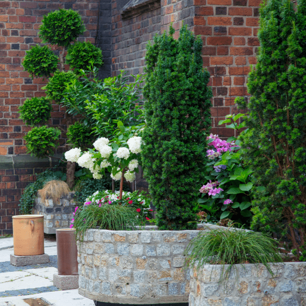 Planter Maintenance Milwaukee