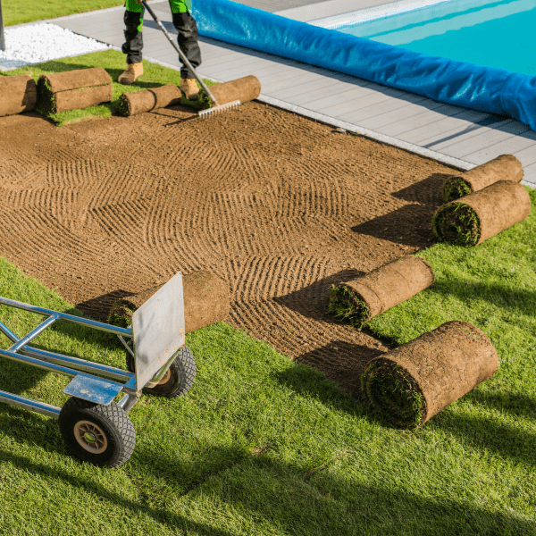 Grading Seeding Sod in Miwaukee